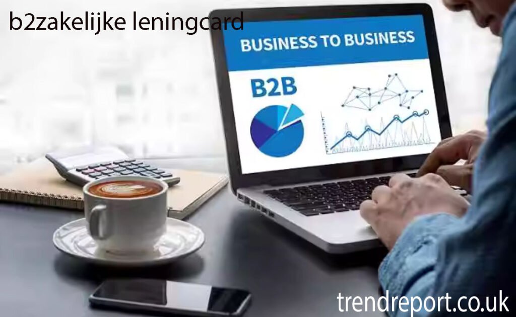 b2zakelijke leningcard