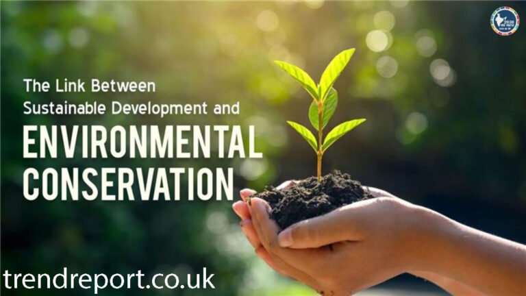 Environmental Conservation: Why It Matters More Than Ever (And What We Can Actually Do)
